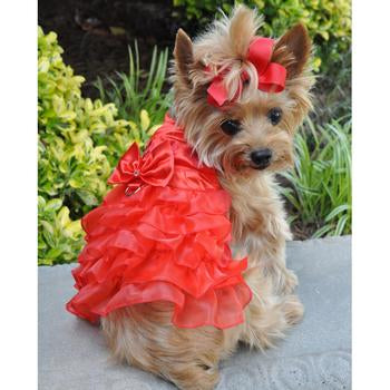 Dog in red outlet dress