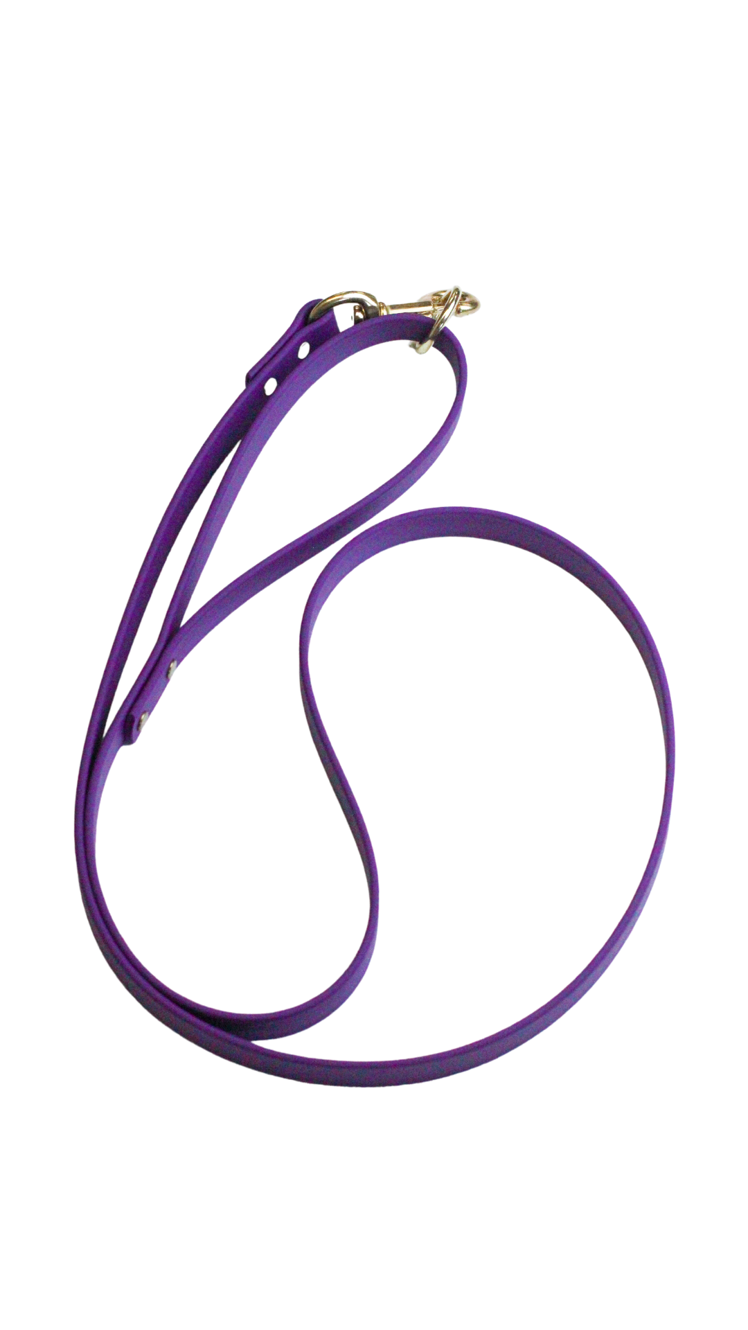 Waterproof Biothane Leashes