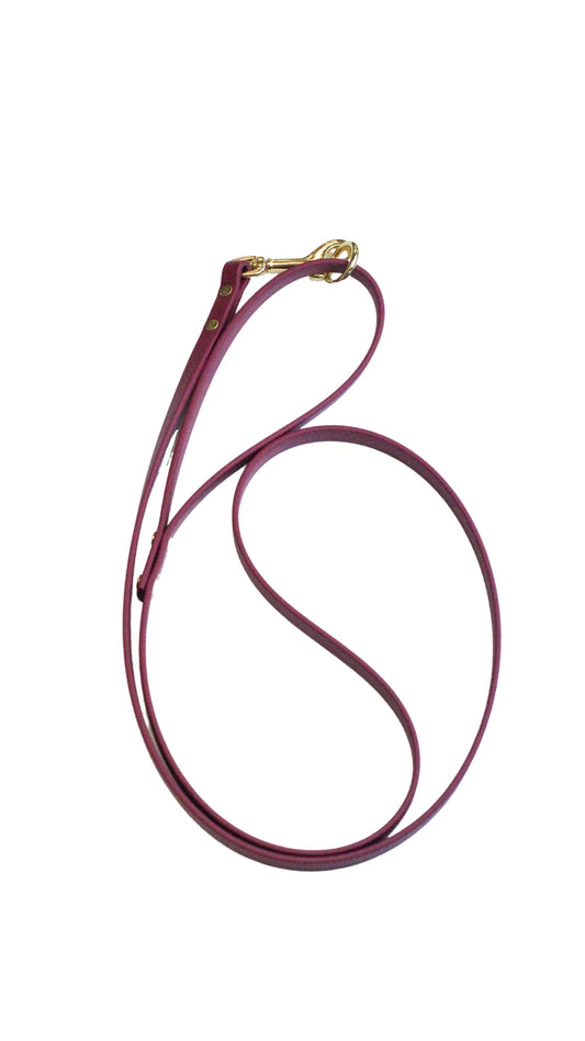 Violet Waterproof Biothane Leash