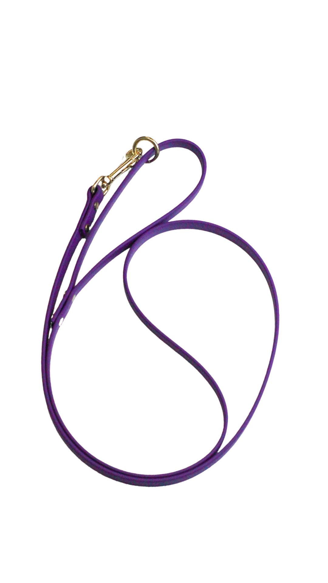 Waterproof Biothane Leashes