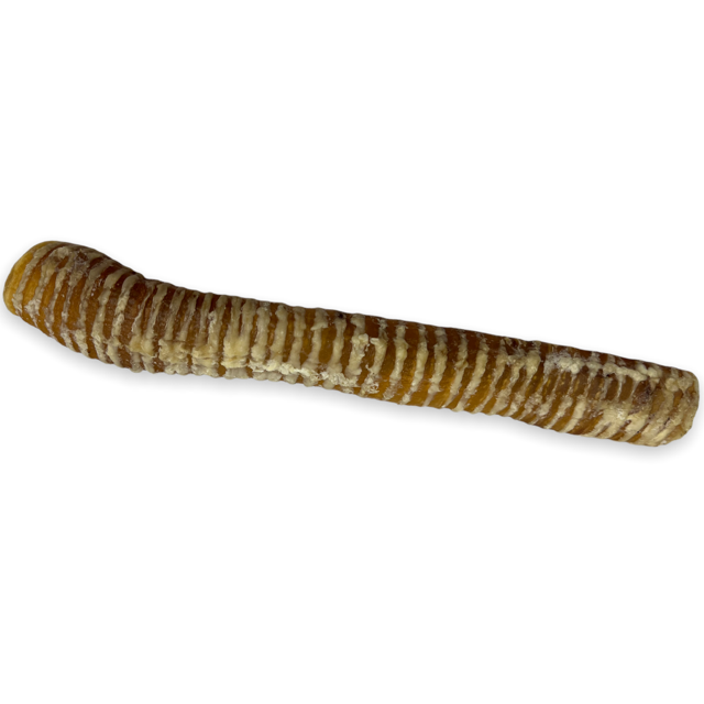 Whole Beef Trachea Dog Chew - Moo Tube