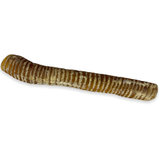 Whole Beef Trachea Dog Chew-Moo Tube