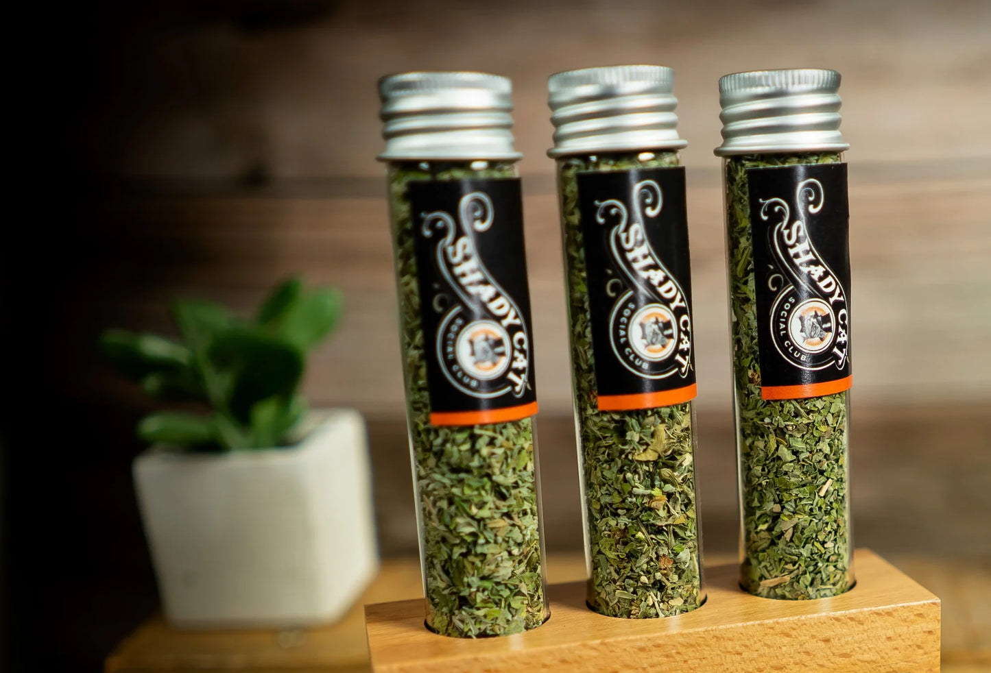 Organic Catnip & Valerian Blend Tube – Premium Quality