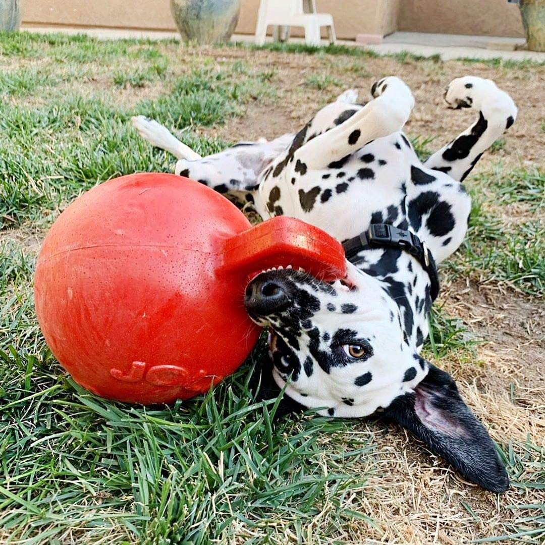 TUG-N-TOSS