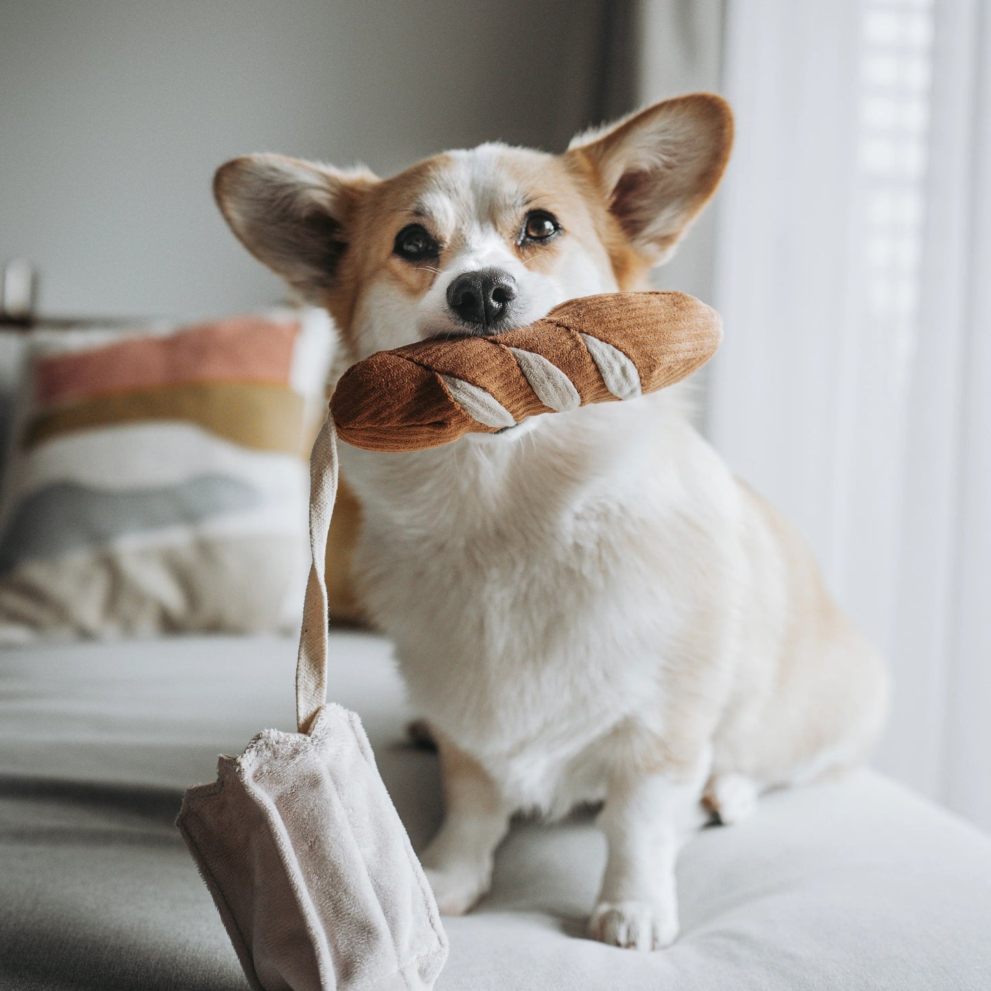 Baguette Dog Toy