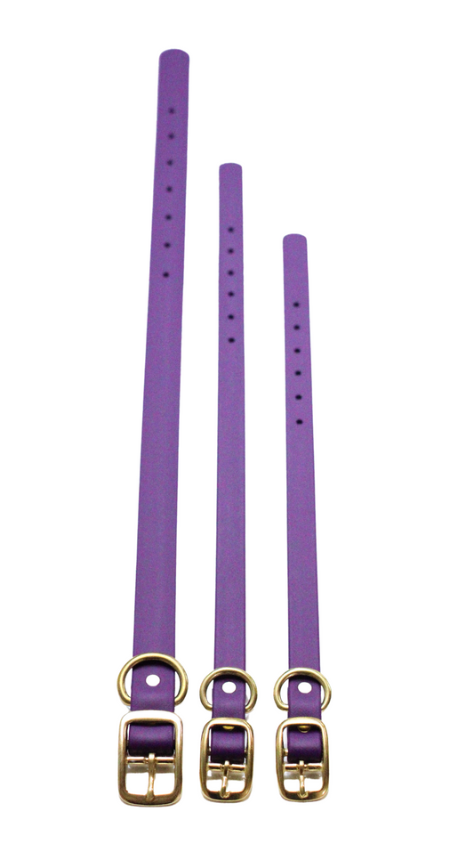 Violet Waterproof Biothane Collar