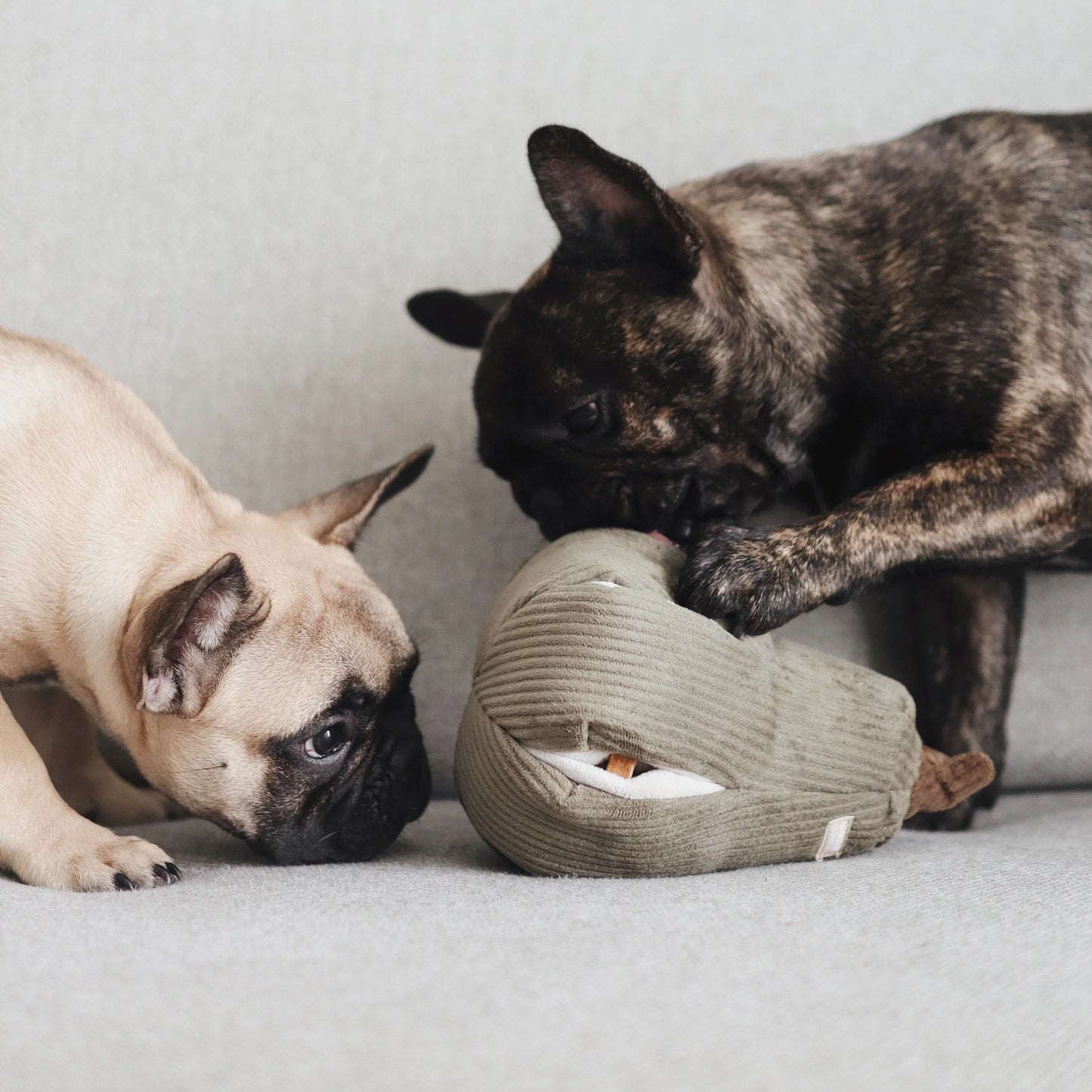Butternut Dog Toy