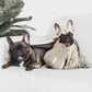 Butternut Dog Toy