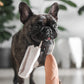 Baguette Dog Toy
