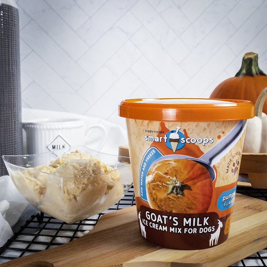 Pumpkin - Smart Scoops Goat's Milk Ice Cream Mix