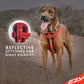 CHEST PLATE DOG HARNESS