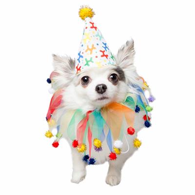 Party Hat & Collar Set