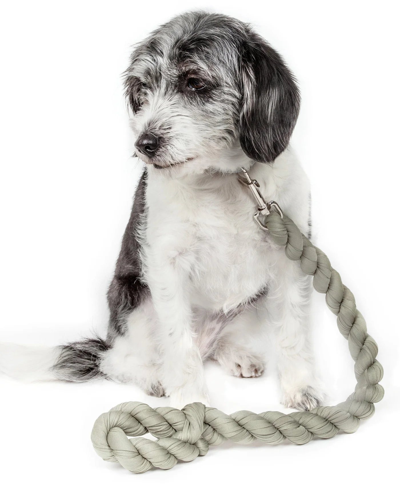 Pet Life 'Tough-Tugger' Industrial-Strength Shock Absorption Woven Pet Dog Leash