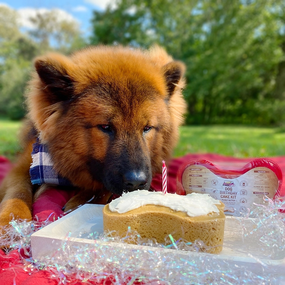 Dog Cake Kit: Peanut Butter Cake Mix