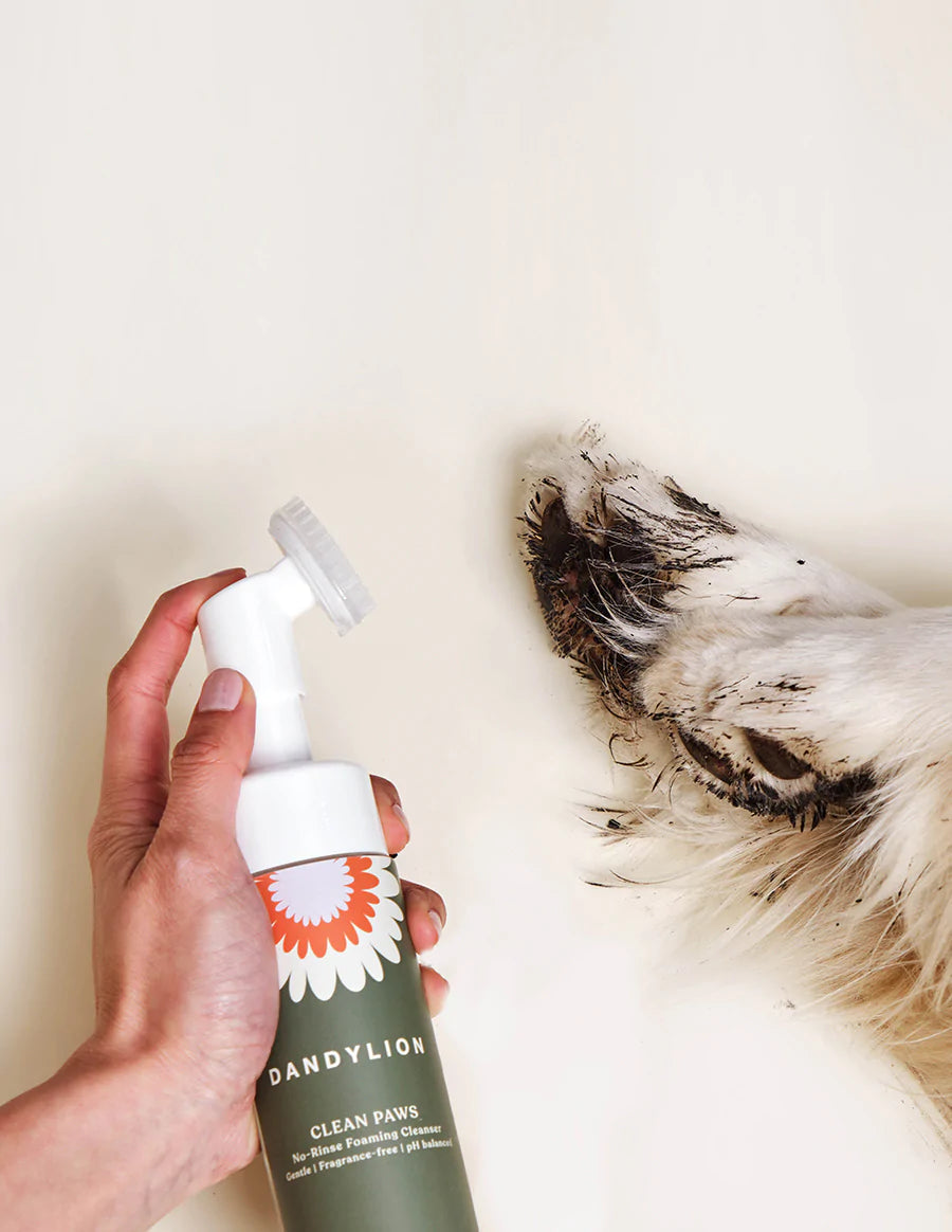 Paw No-Rinse Foaming Cleanser