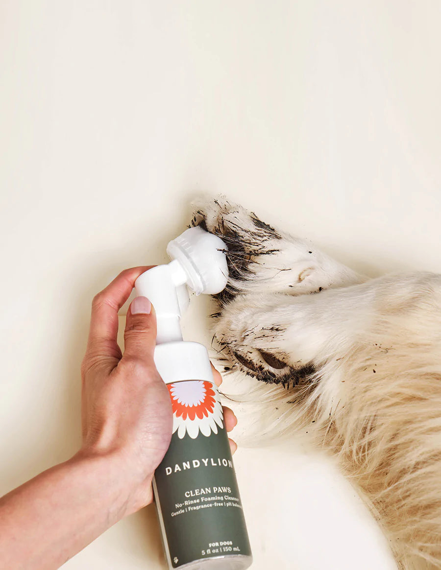 Paw No-Rinse Foaming Cleanser