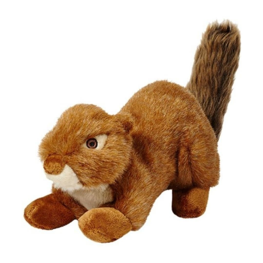 Red Squirrel - Large