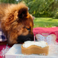 Dog Cake Kit: Pumpkin Cake Mix