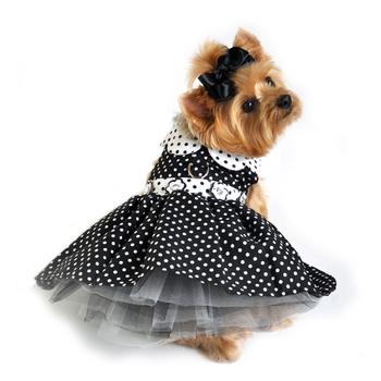 Polka Dot Dog Dress w/ Matching Leash