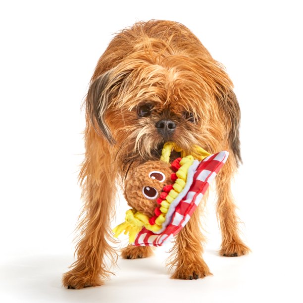 Spaghetti and Muttballs Dog Toy